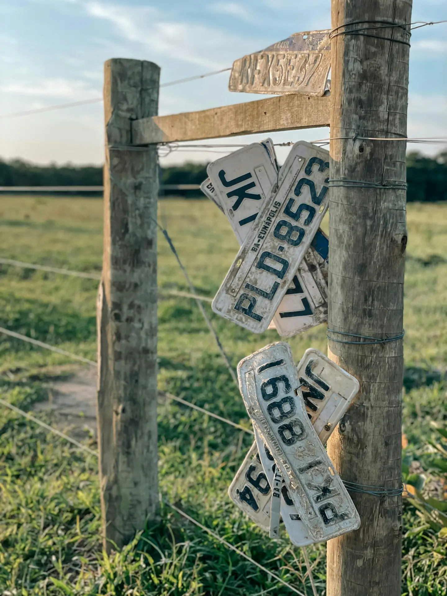 car registration domain name